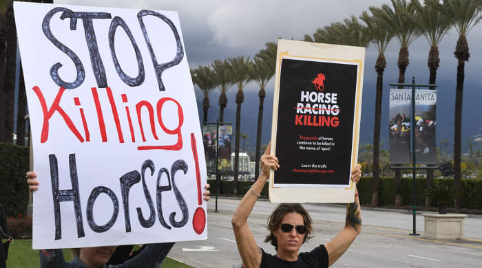 horse_racing_protestors.jpg